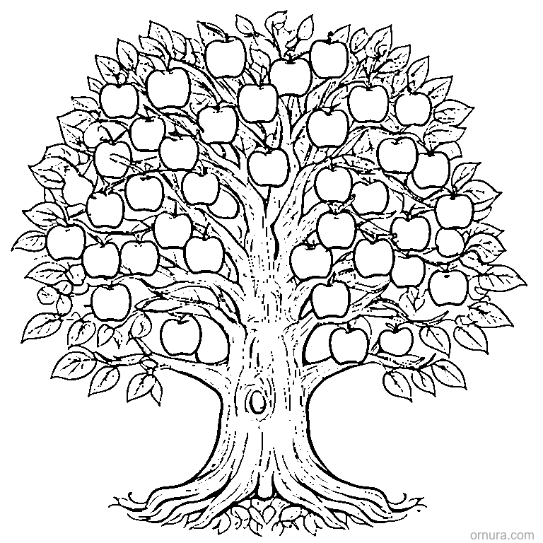 apple tree full of apples coloring page - free printable black and white line art for kids and adults