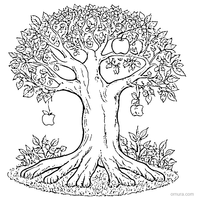 apple tree with curly branches coloring page - free printable black and white line art for kids and adults