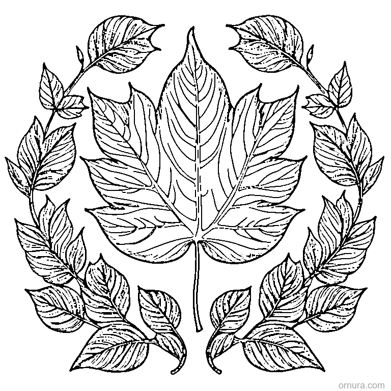 autumn leaf with curled edges coloring page coloring page - free printable black and white line art for kids and adults