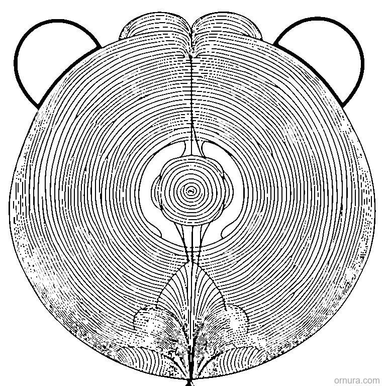 balloon pattern floating circles design coloring page - free printable black and white line art for kids and adults