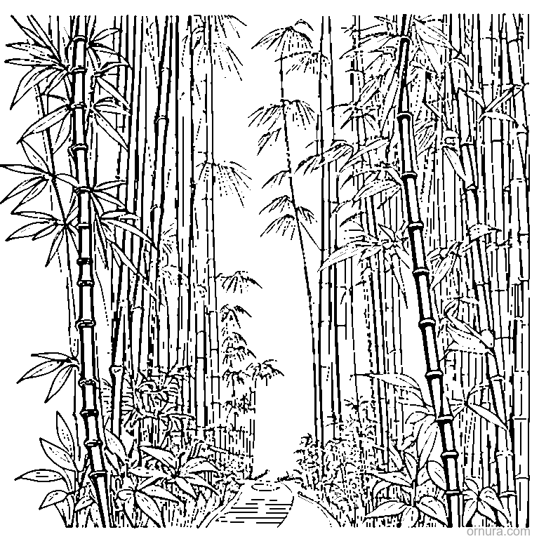 bamboo forest with tall stalks coloring page - free printable black and white line art for kids and adults