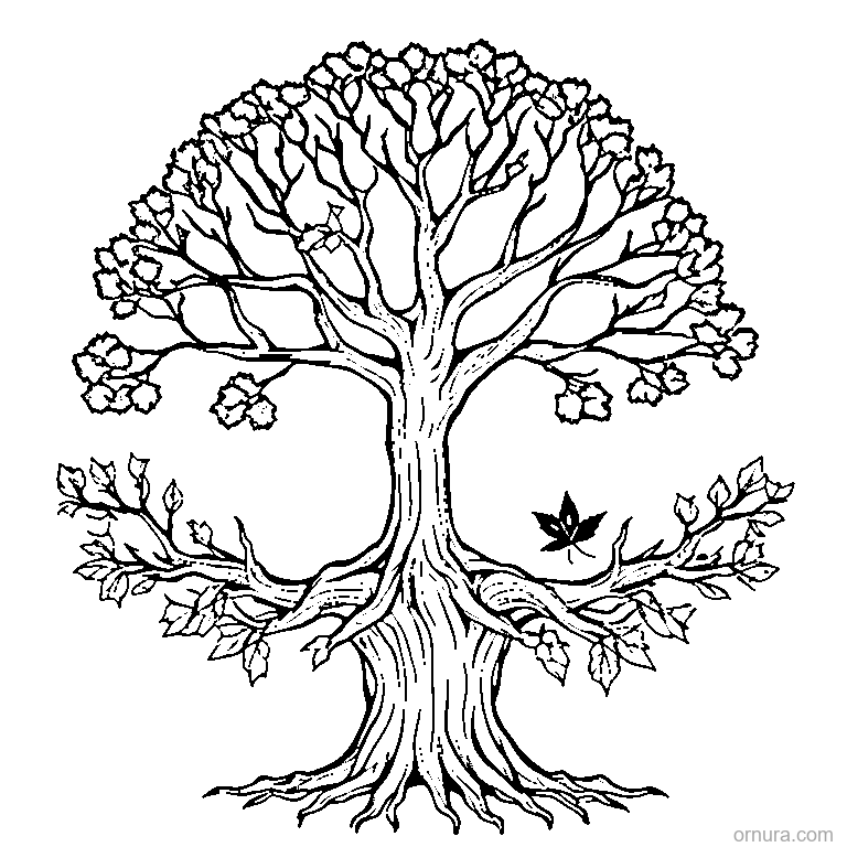 bare tree with falling leaves design coloring page - free printable black and white line art for kids and adults