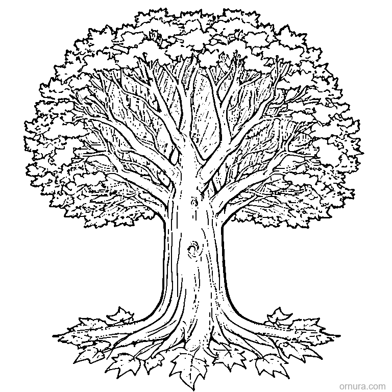 big maple tree in autumn with falling leaves coloring page - free printable black and white line art for kids and adults