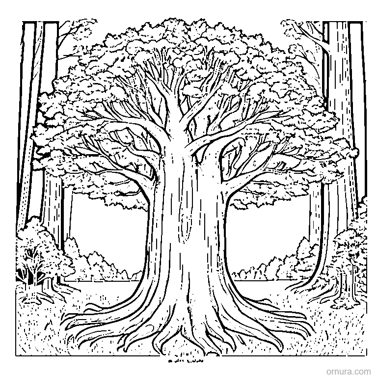 big maple tree in autumn coloring page - free printable black and white line art for kids and adults