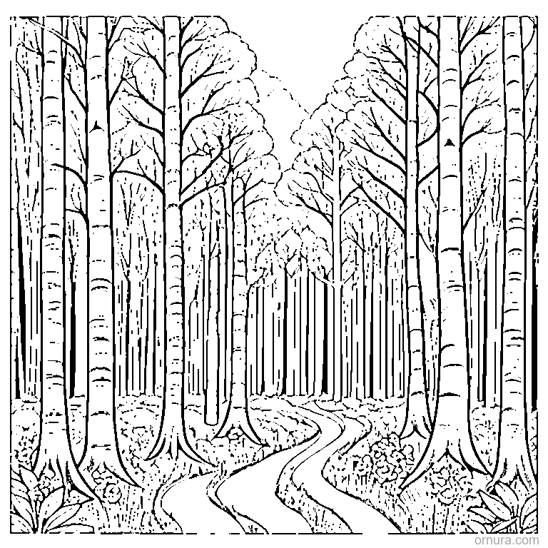 birch tree grove coloring page - free printable black and white line art for kids and adults