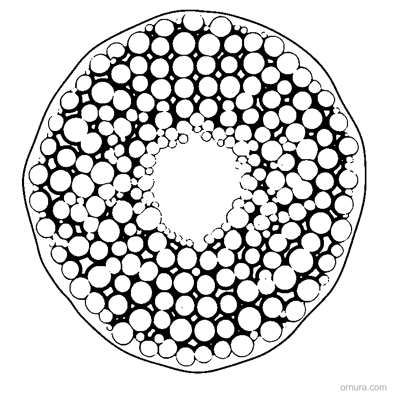 Bubble Wrap Pattern Circles coloring page