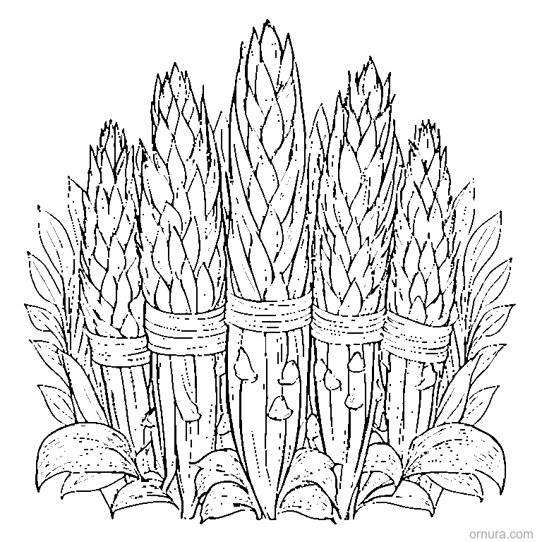 bundle of corn stalks coloring page - free printable black and white line art for kids and adults
