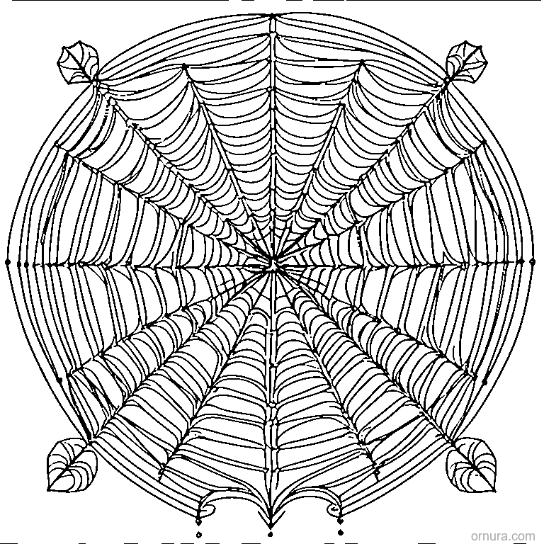 decorative spiderweb with a tiny spider coloring page - free printable black and white line art for kids and adults