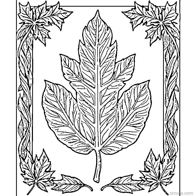 detailed oak leaf with lobes design coloring page - free printable black and white line art for kids and adults