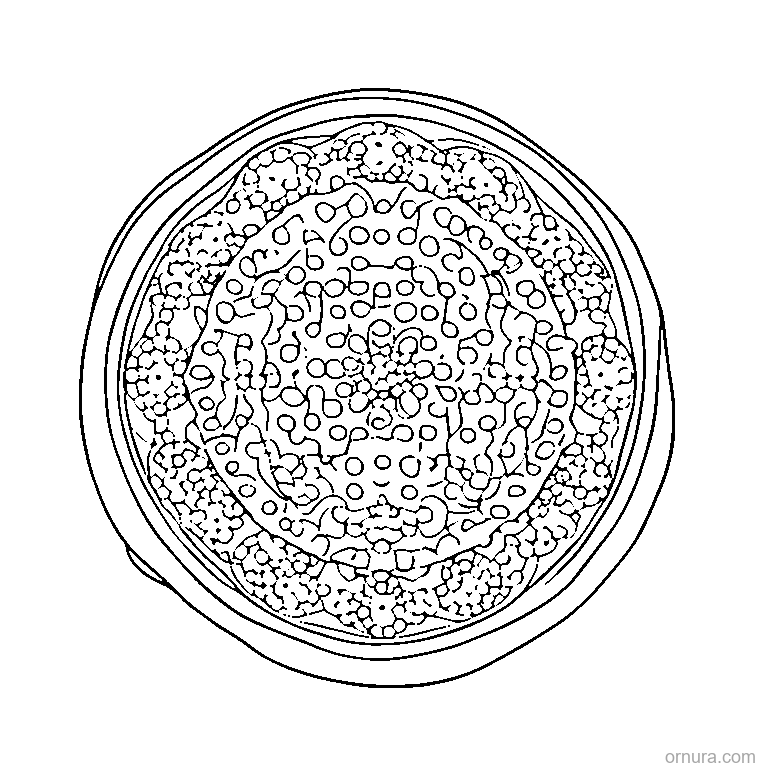 dots pattern design coloring page - free printable black and white line art for kids and adults