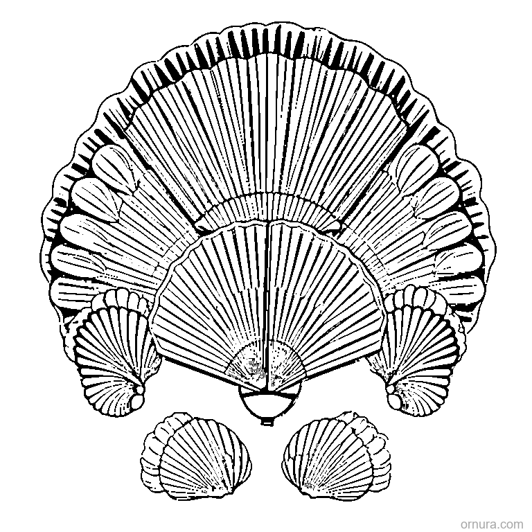 fan pattern shells design coloring page - free printable black and white line art for kids and adults