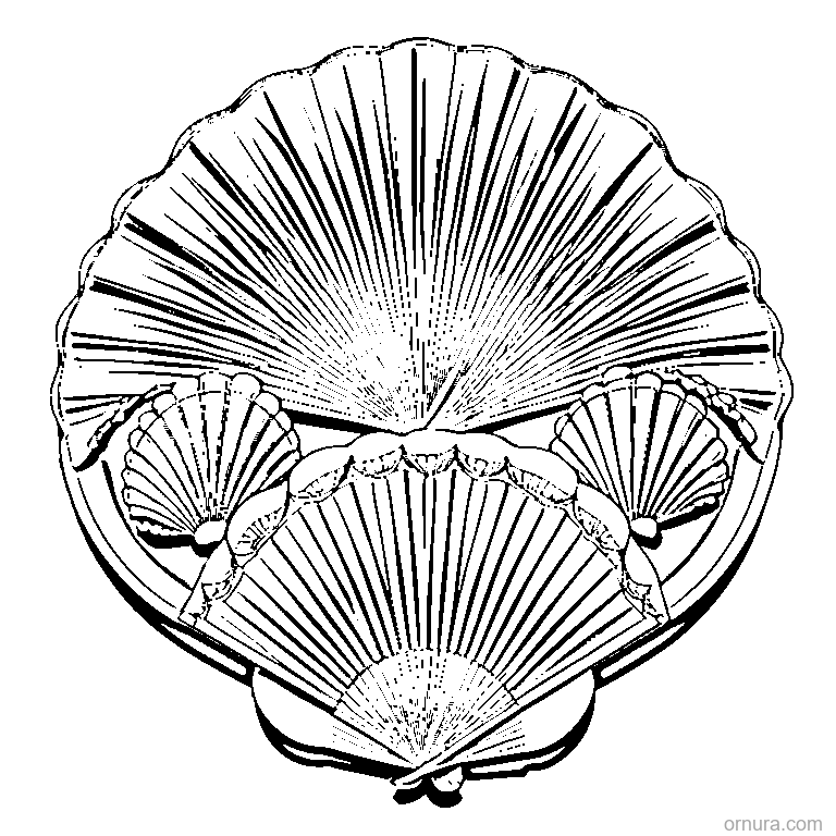 fan pattern shells template coloring page - free printable black and white line art for kids and adults