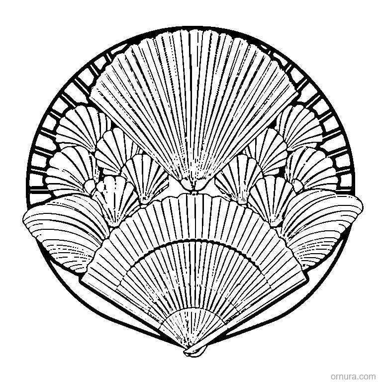 Fan Pattern Shells coloring page