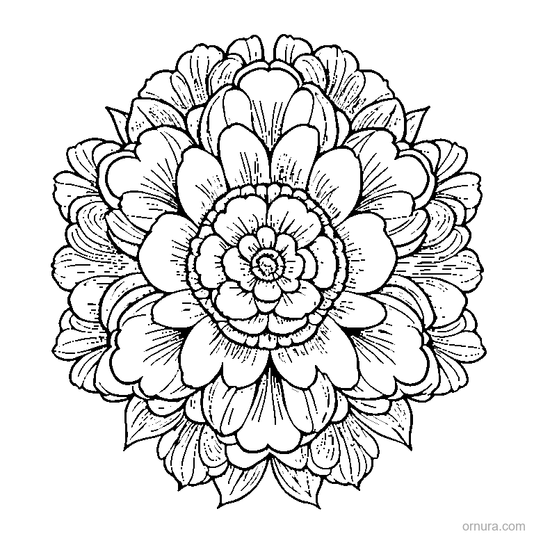 flower pattern repeated coloring page coloring page - free printable black and white line art for kids and adults