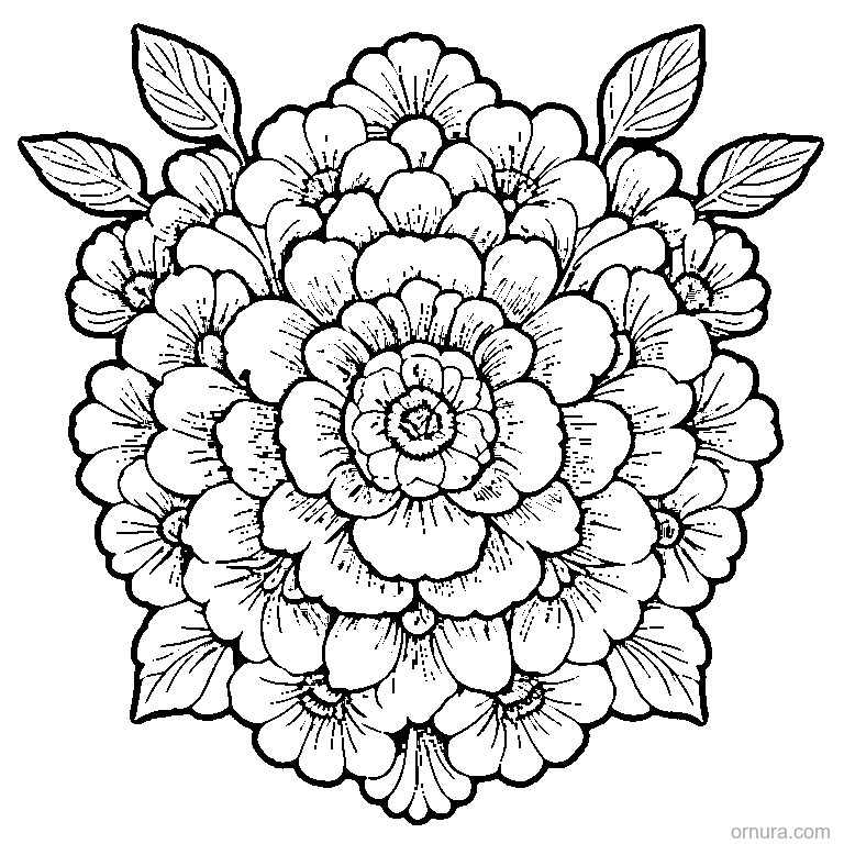 Flower Pattern Repeated coloring page