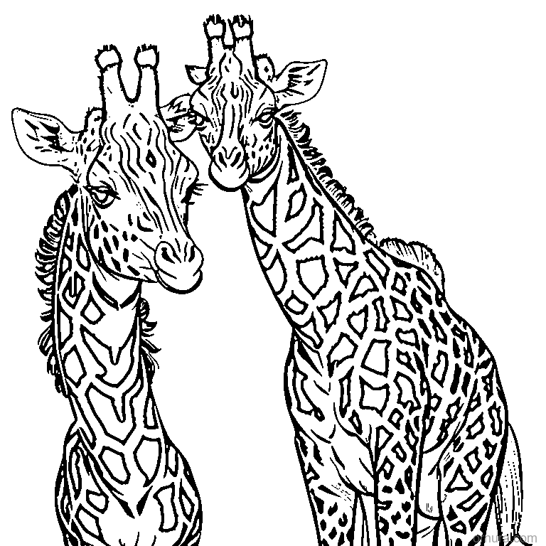 giraffe spot pattern coloring page - free printable black and white line art for kids and adults