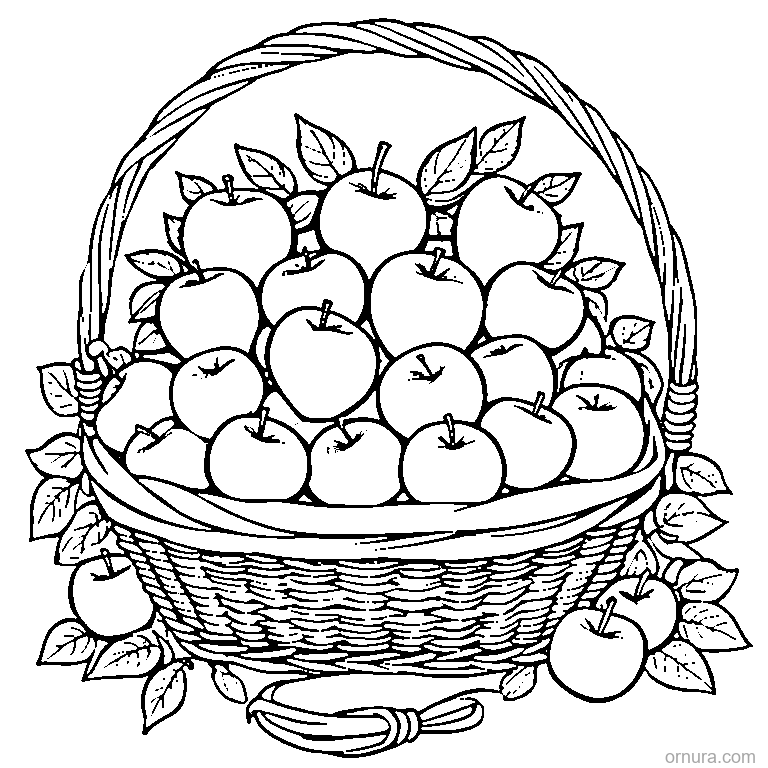 harvest basket with apples coloring page - free printable black and white line art for kids and adults