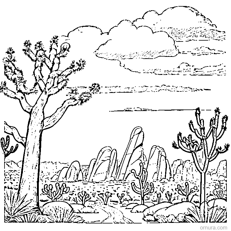 joshua tree in the desert coloring page - free printable black and white line art for kids and adults