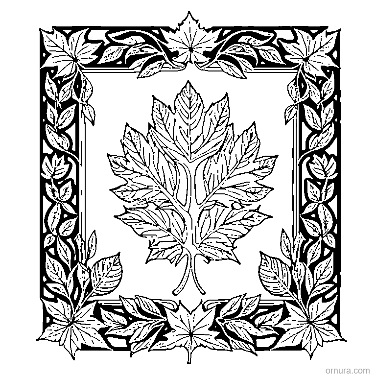 leaf border pattern with autumn leaves coloring page coloring page - free printable black and white line art for kids and adults