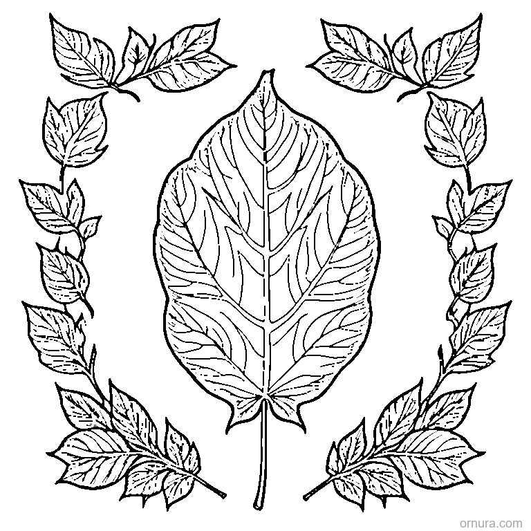 leaf falling from tree printable coloring page - free printable black and white line art for kids and adults