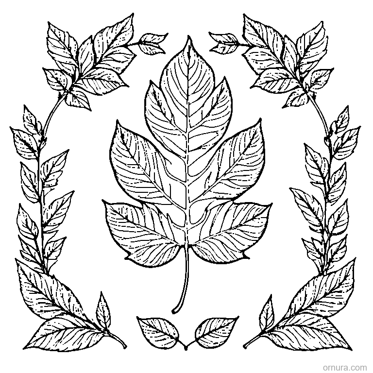 leaf falling from tree template coloring page - free printable black and white line art for kids and adults