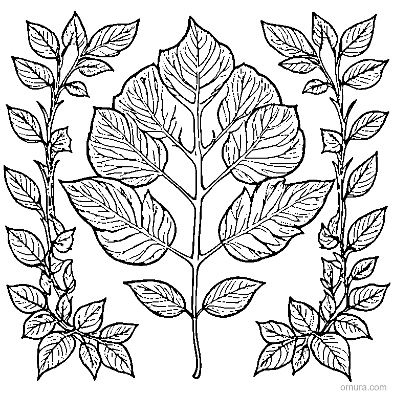 Leaf Falling From Tree coloring page