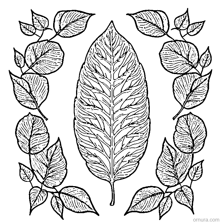 leaf pattern simple repeated coloring page coloring page - free printable black and white line art for kids and adults
