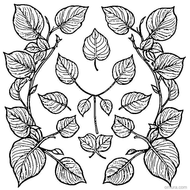 leaf pattern simple repeated design coloring page - free printable black and white line art for kids and adults
