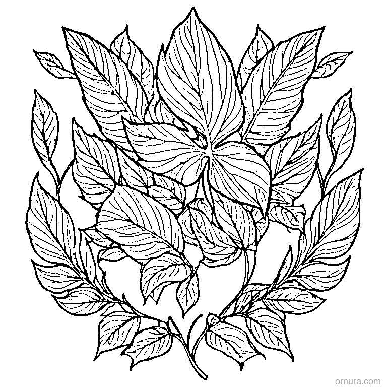 leaf swirling in wind printable coloring page - free printable black and white line art for kids and adults