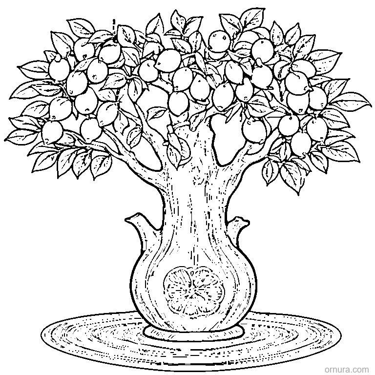 lemon tree full of lemons coloring page - free printable black and white line art for kids and adults
