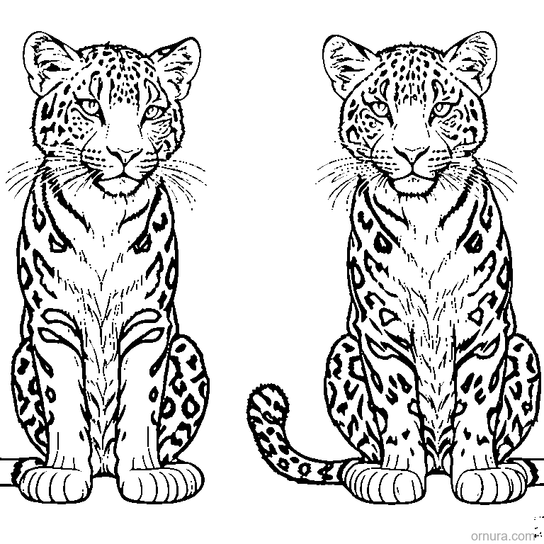 leopard print pattern coloring page - free printable black and white line art for kids and adults