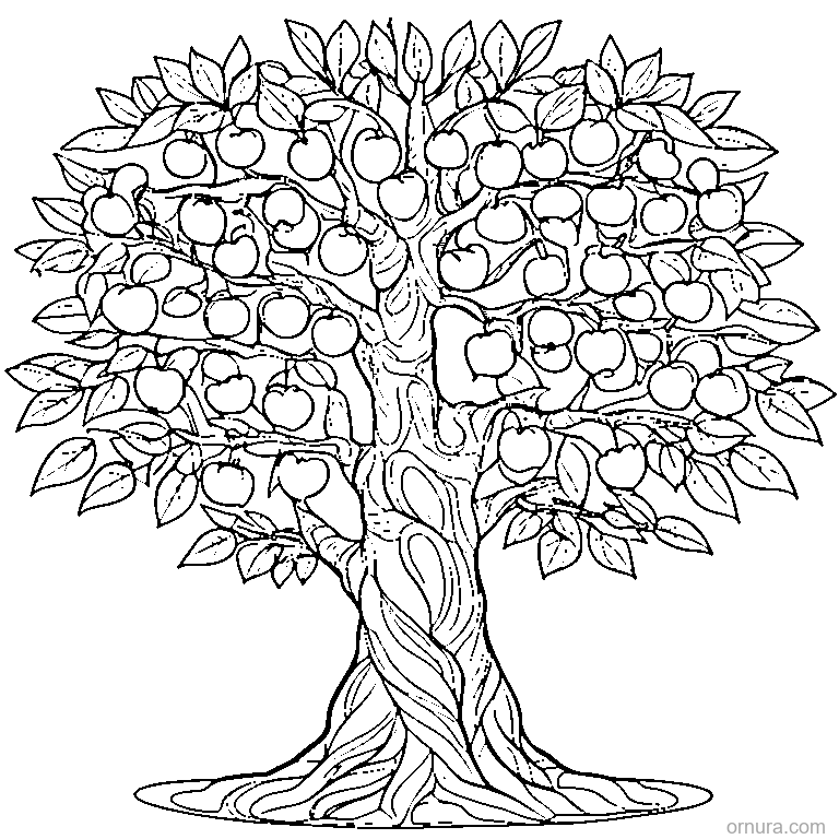 mango tree full of fruit coloring page - free printable black and white line art for kids and adults