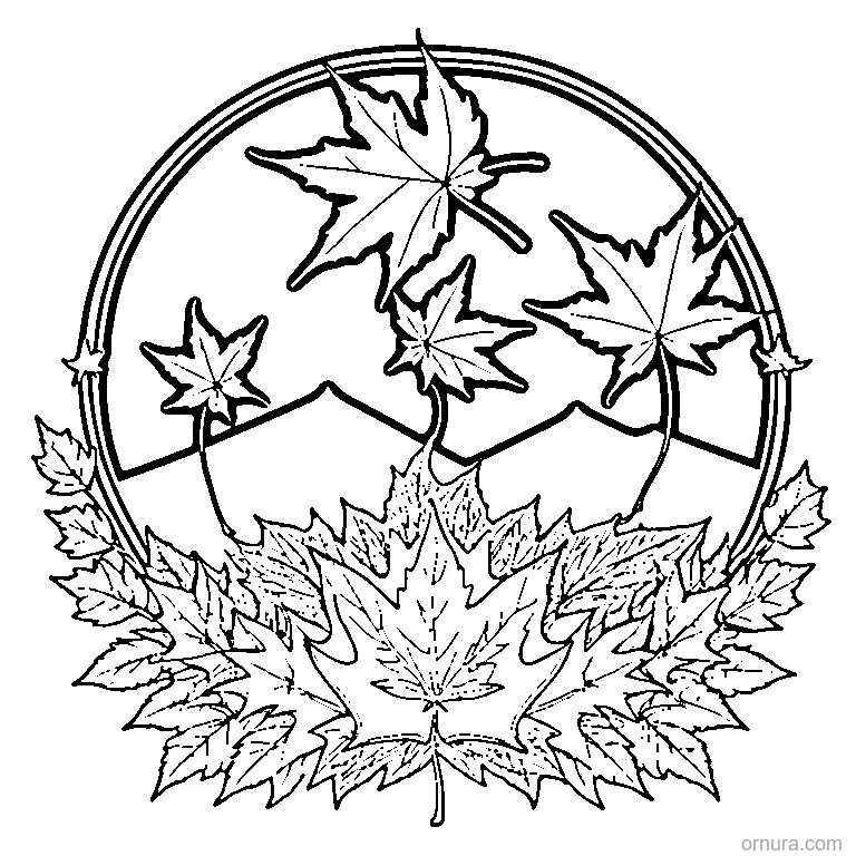 Maple Leaf Falling In Autumn Wind coloring page