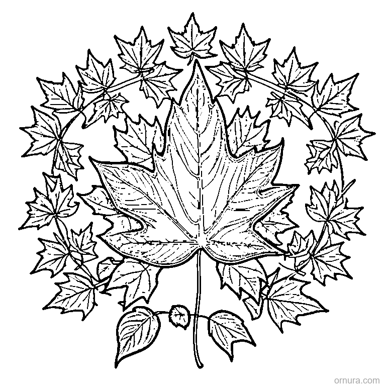 maple leaf falling in autumn wind coloring page coloring page - free printable black and white line art for kids and adults