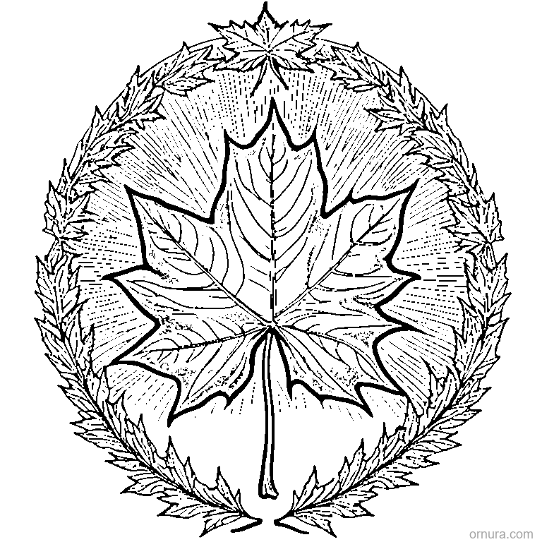 maple leaf falling in autumn wind printable coloring page - free printable black and white line art for kids and adults