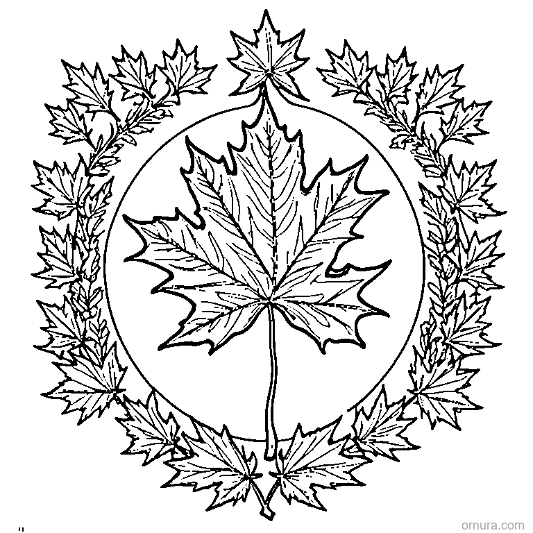 maple leaf falling in autumn wind template coloring page - free printable black and white line art for kids and adults