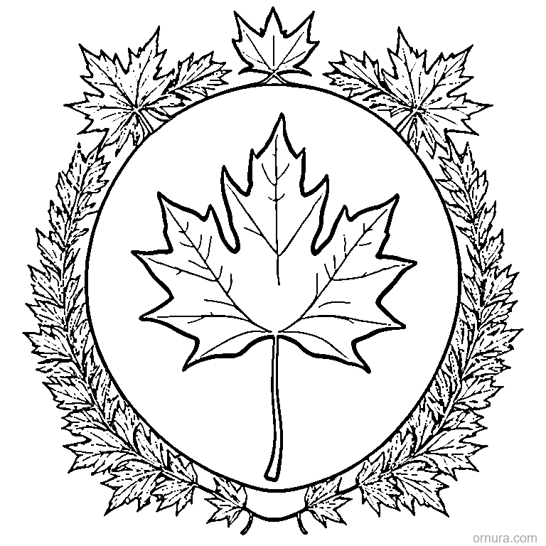 maple leaf with bold outlines coloring page coloring page - free printable black and white line art for kids and adults