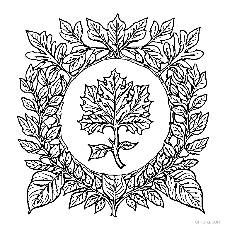 oak leaf with acorn cluster design coloring page - free printable black and white line art for kids and adults