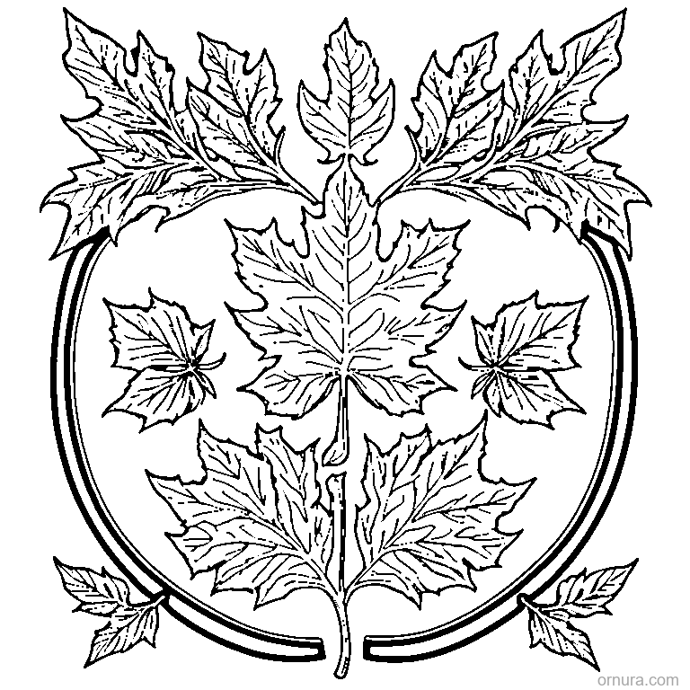 oak leaf with acorn template coloring page - free printable black and white line art for kids and adults