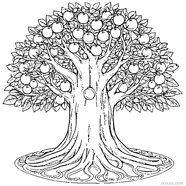 orange tree full of oranges coloring page - free printable black and white line art for kids and adults