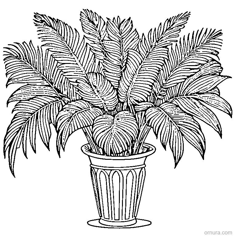 palm leaf with fronds printable coloring page - free printable black and white line art for kids and adults