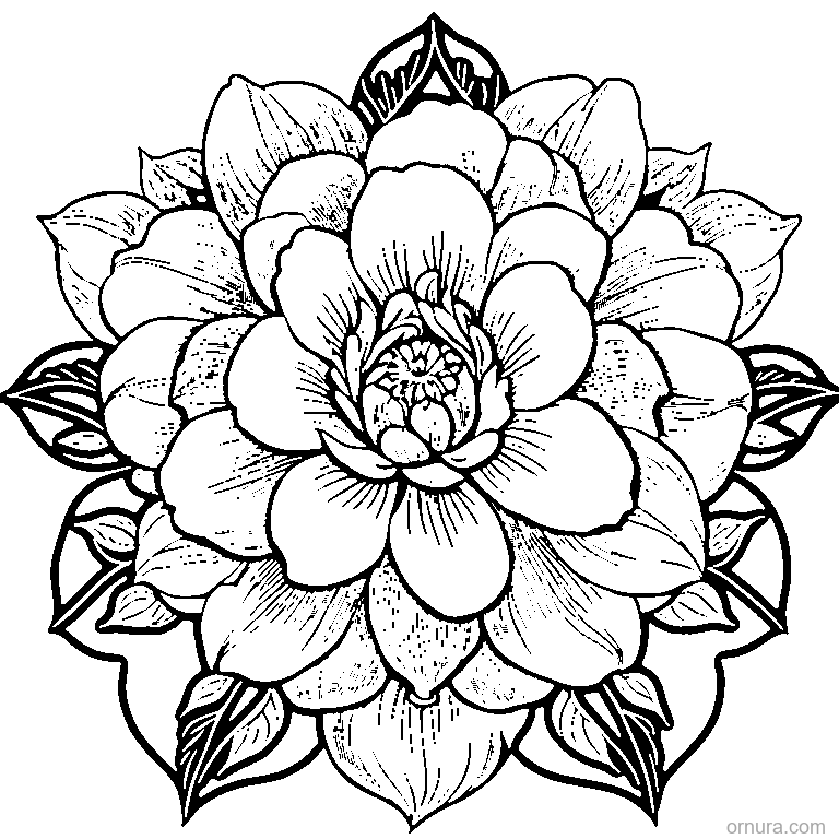 petal pattern flower design coloring page - free printable black and white line art for kids and adults
