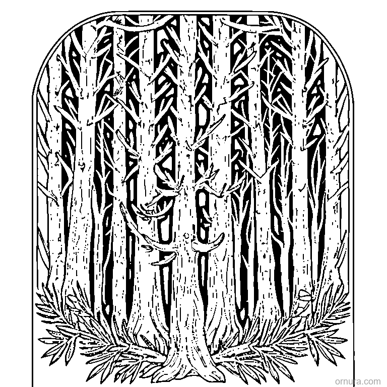 Pine Branch With Needles coloring page