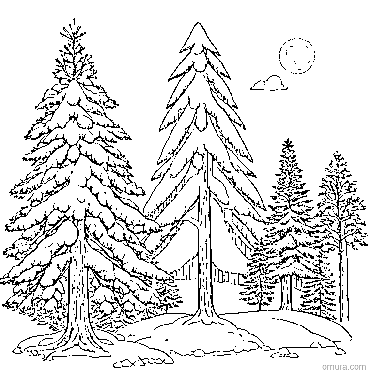 pine tree covered in snow coloring page - free printable black and white line art for kids and adults
