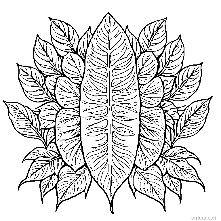 pressed botanical leaf specimen design coloring page - free printable black and white line art for kids and adults