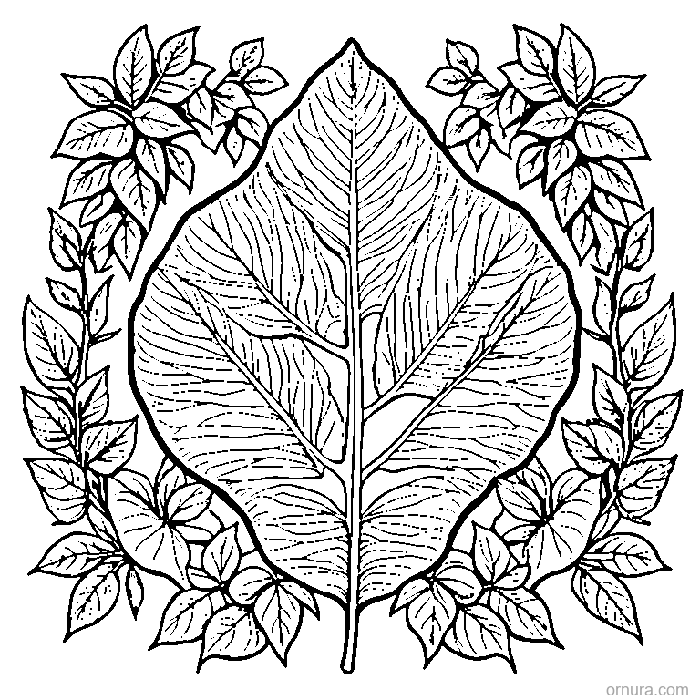 pressed botanical leaf specimen printable coloring page - free printable black and white line art for kids and adults