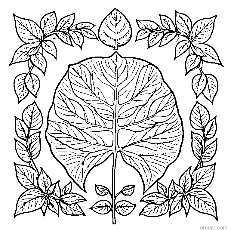 pressed botanical leaf specimen template coloring page - free printable black and white line art for kids and adults