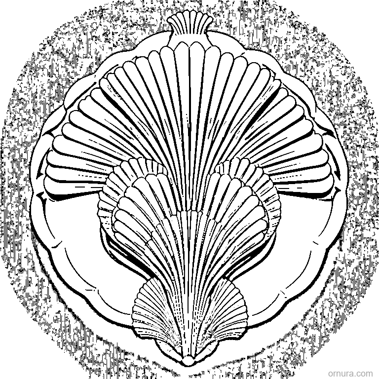 scallop pattern shell edge template coloring page - free printable black and white line art for kids and adults