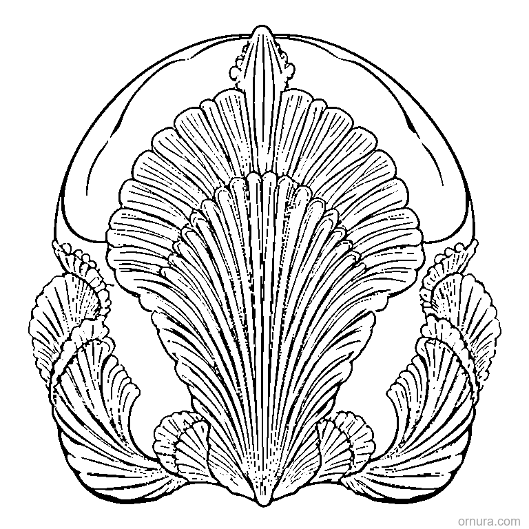 Scallop Pattern Shell Edge coloring page