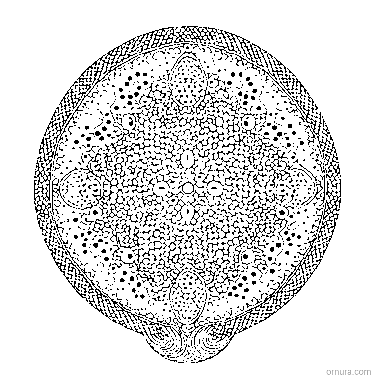 Simple Dots Pattern coloring page